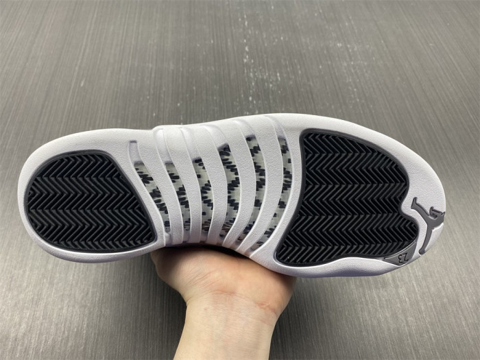 Air Jordan 12 STEALTH CT8025-610