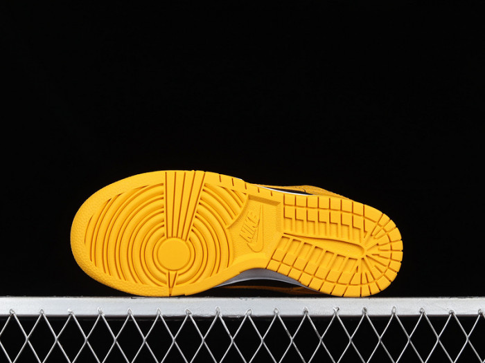 nike dunk low G01denrod (2021) - dd1391-004