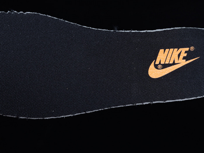 nike dunk low G01denrod (2021) - dd1391-004