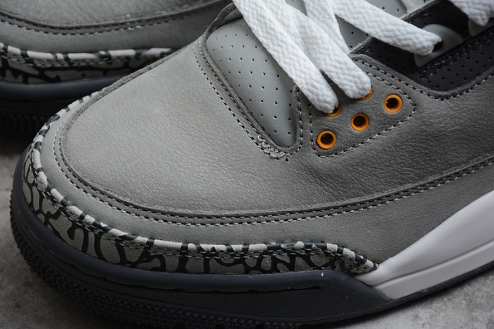 Air Jordan 3 "Cool Grey"（2021） CT8532-012