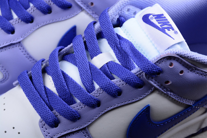 NIKE DUNK LOW GS 