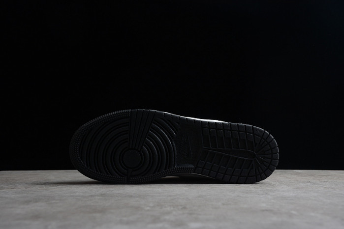 AIR JORDAN 1 LOW GS 